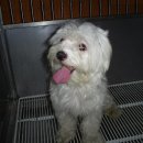 금광동물병원 이미지