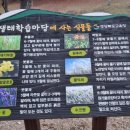 임고초등학교 금대분교장 이미지