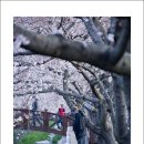 천사의 사랑 이미지