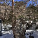 얼수(水)명촌화순사우나 | [등산] 등산기록33. 2026년 첫 설산 ‘한라산 윗세오름’