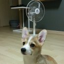 아뜰리에호연 네이버블로그