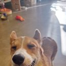 멍아지트 이미지