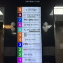 대단한몸매다산점 | 부산 케어요가&필라테스 임산부 그룹요가/산전요가 4개월 다닌 후기