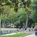 센트럴세탁 - 부천시 오정구 작동로21번길 3 | 🇦🇺 시드니 숙소 추천｜뮤지엄역 도보 4분! 이비스 스타일 시드니 센트럴 4박 후기✨
