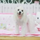 아콩하우스 이미지