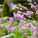 서전주 졸음쉼터 이미지