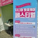 한내로타리 | 담기는 벚꽃비 구경. 여좌천 벚꽃길 로망스다리 &amp; 벚꽃구경 안내도! 진해군항제 숙소 루이스호텔 후기