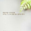 신우시스템주 네이버블로그