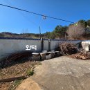 주택약국 Daum카페