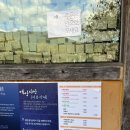 하동여행 녹차밭카페 매암제다원 /매암차문화박물관 후기