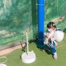 양주 장흥,송추 임채무의 두리랜드 :) 내돈내산 (실내 오락시설, 키즈카페 후기)