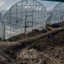 미르채공인중개사사무소 이미지