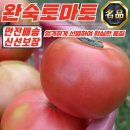 토마토 쇼핑하우