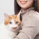 고양이미용실 나른하냥 이미지