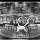 이가편한치과의원 이미지