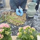 더세인트요양병원 이미지