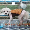 국회대로7길 이미지