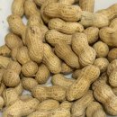 광동로 | 해가대원 와이탄｜상하이 맛집 첫끼 게살국수 게살밥 웨이팅 워크인 솔직 후기