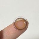 위본안경 위드렌즈 이미지