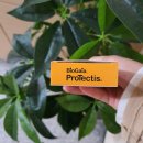 티스바이오 이미지