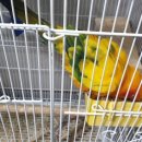 주주목장 이미지