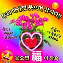 정(情) - 사랑과 이미지