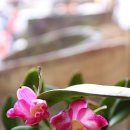 주식회사더좋은친구 이미지