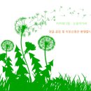 불난닭발 이미지