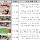 환경부, 산간지역에서 &#39;습지플라나리아류&#39; 21종 발견 이미지