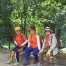 남도약수터 이미지