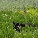 종로-종로-종로-종-105 | 25.06 | 햇빛이 너무 뜨거워요