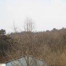 여주-1012 네이버블로그