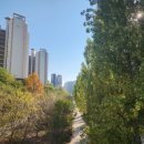 미사강변루나리움.17단지(28017) | (임챌 시즌8) #6 강동구 강일