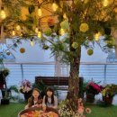 가고파플라워 이미지