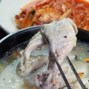 황금옻닭 - 안양시 만안구 | 황금옻닭