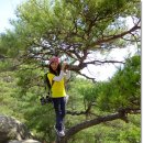 구기공원 이미지