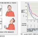 [ 문헌 ] 대장암 화학 요법으로 유발된 구강점막염에 대한 반하사심탕의 유효성 이미지