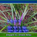 언덕위의하얀집 이미지