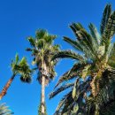 고하농장 이미지