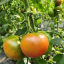 성민농장 이미지