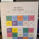 대전광역시청어린이집 | 둔산동 요가 둔산동 필라테스 고민하다 등록했다, 플라잉까지 가능한 필라테스인바디앤요가