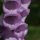 스마트한의원 | 만성 찌뿌둥함 탈출 대작전! 강북안정한의원 발굴 후기