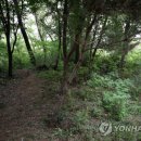 신림동-4 이미지