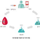 차이메디투어 이미지