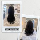 사과나무미용실 - 북구 참판로 75 | [아노브헤어 청라점] 대만족 s컬펌 청라펌 추천
