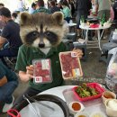 장수고기나라 | 2025년 장수한우사과축제 내돈내시간들여서 다녀온후기 🐮🍎 😘👍🏻