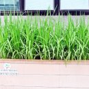 (주)원디자인 이미지