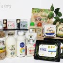 트루라이프
