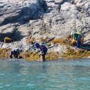 진도향기특산품 이미지