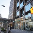 노상훈성형외과의원 이미지